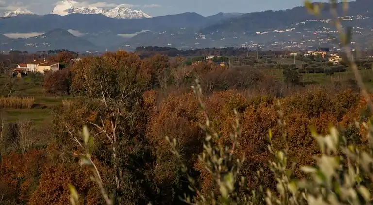 Sommerhus i Walled City