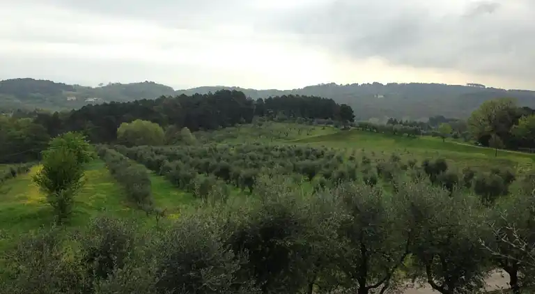 Sommerhus i Walled City