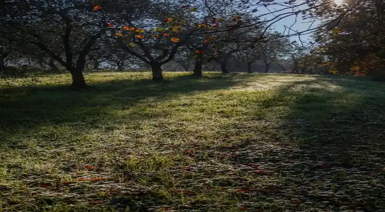 Sommerhus i Walled City