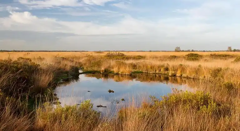Holiday home in Geesteren