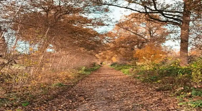Holiday home in Geesteren
