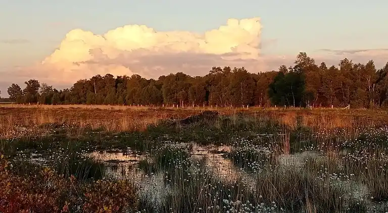 Holiday home in Geesteren