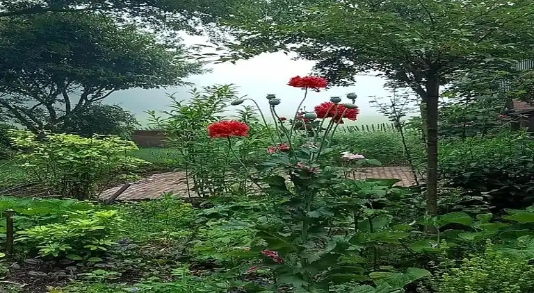 Holiday home in Geesteren