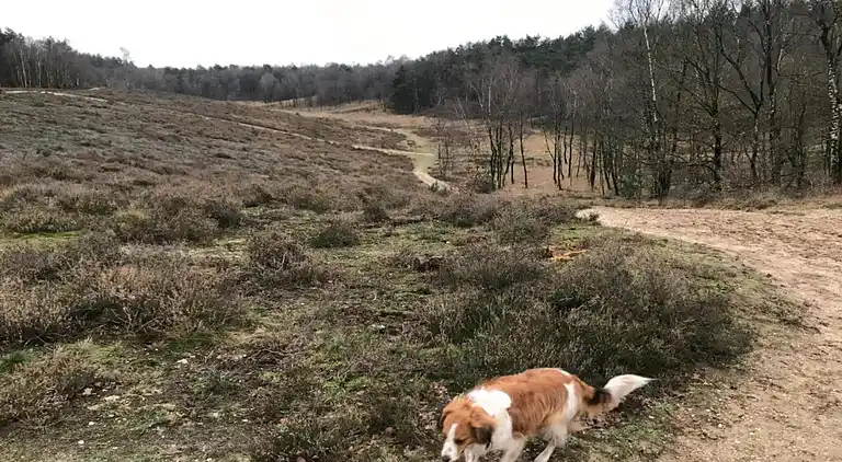 Holiday home in Garderen
