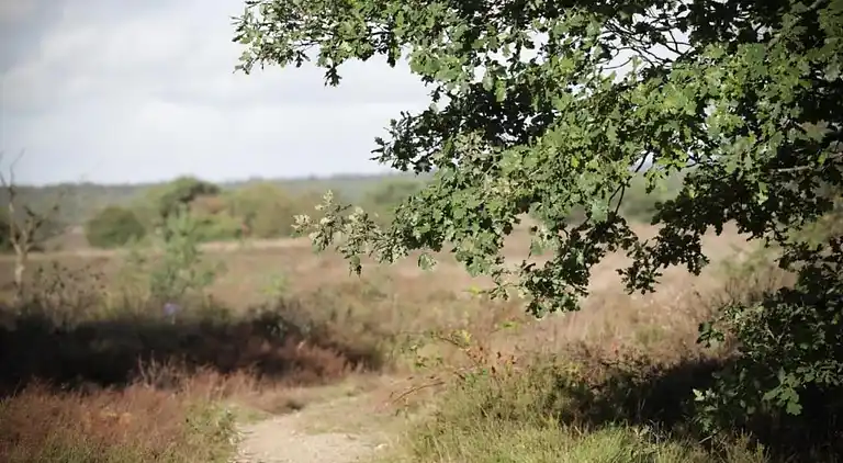 Holiday home in Garderen