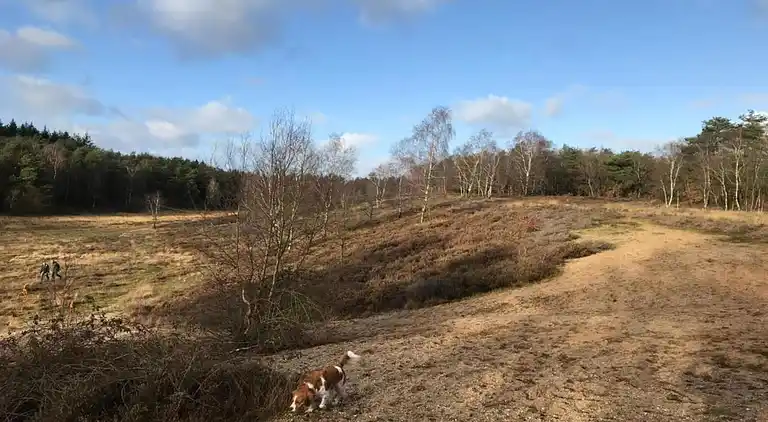 Holiday home in Garderen