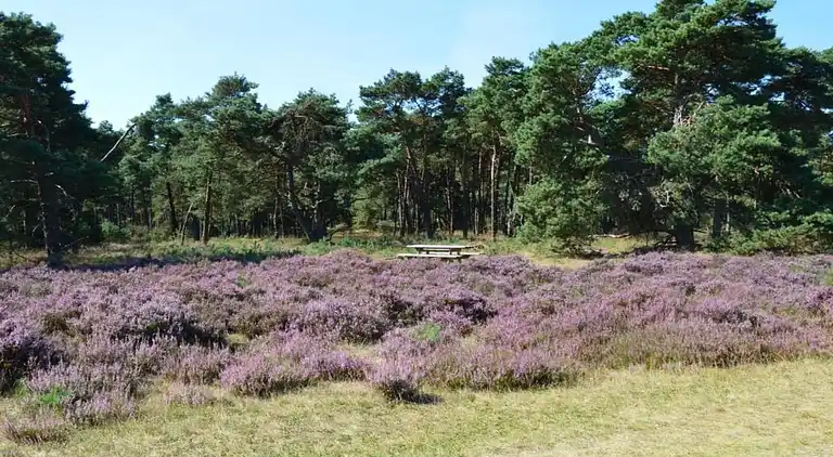 Holiday home in Garderen