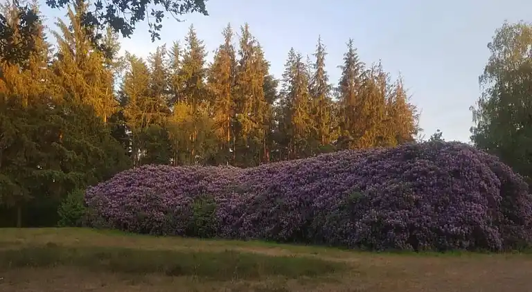 Holiday home in Garderen