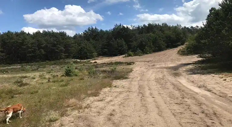Holiday home in Garderen