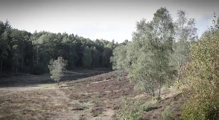 Holiday home in Garderen