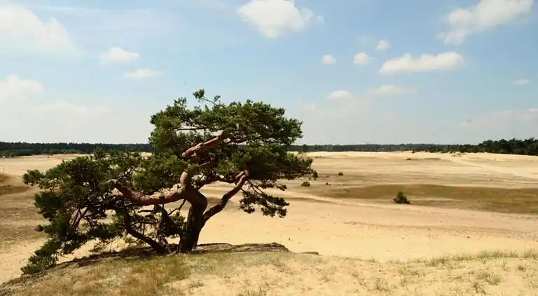 Holiday home in Zeewolde