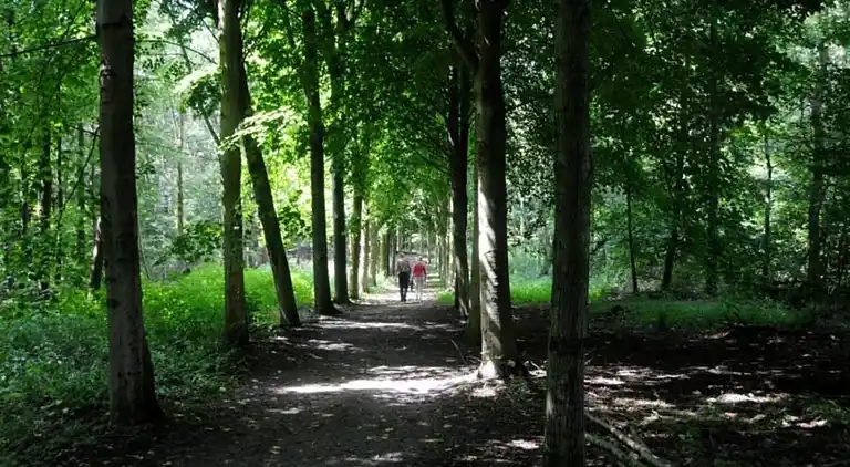 Holiday home in Zeewolde