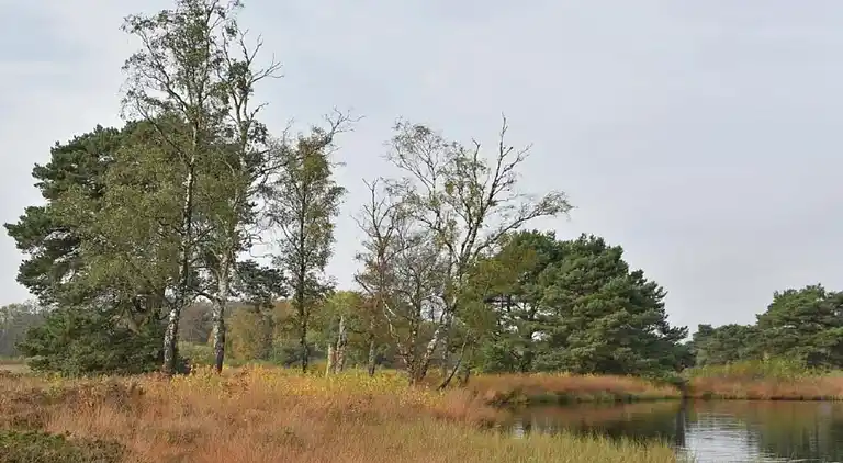 Holiday home in Geesteren