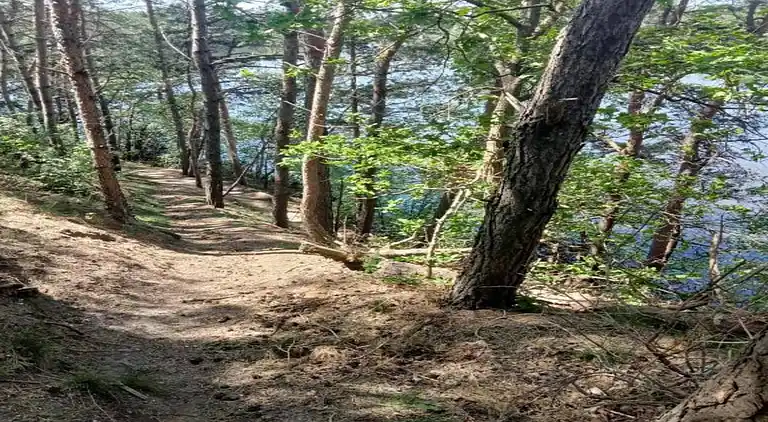 Holiday home in Geesteren