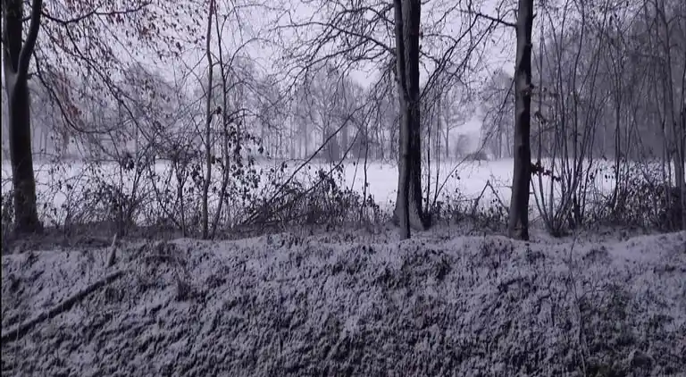 Holiday home in Geesteren