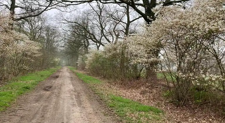 Holiday home in Geesteren