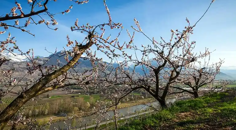 Holiday home in Grengiols