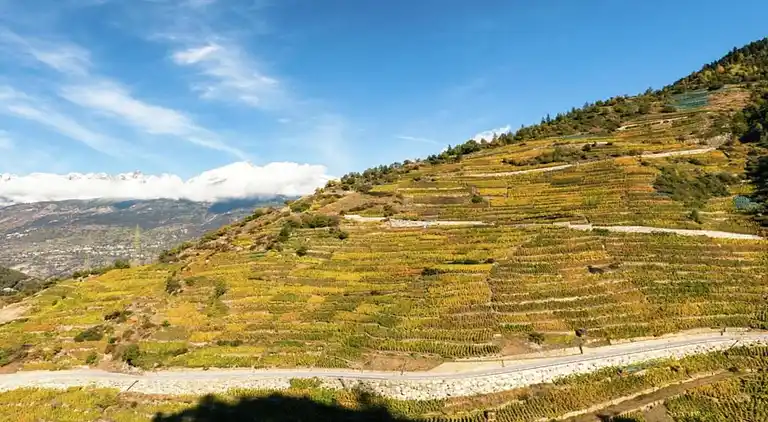 Holiday home in Grengiols