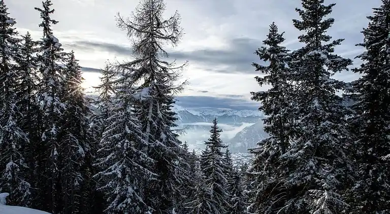 Holiday home in Grengiols