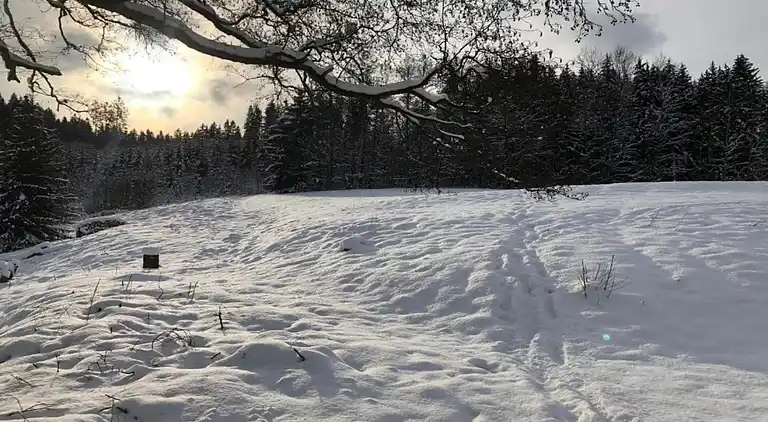 Ferielejlighed i Horní Nemojov