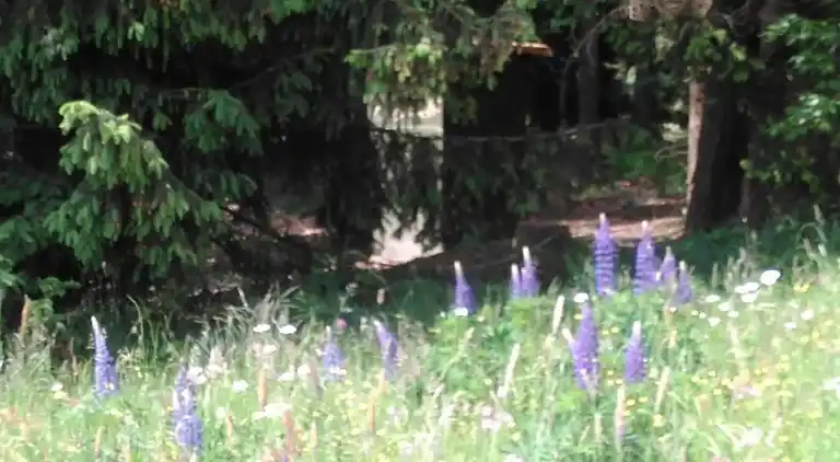 Ferielejlighed i Horní Nemojov