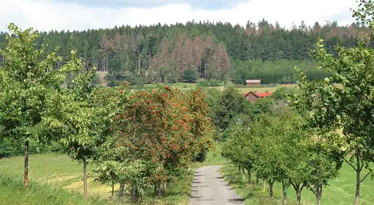 Ferielejlighed i Horní Nemojov