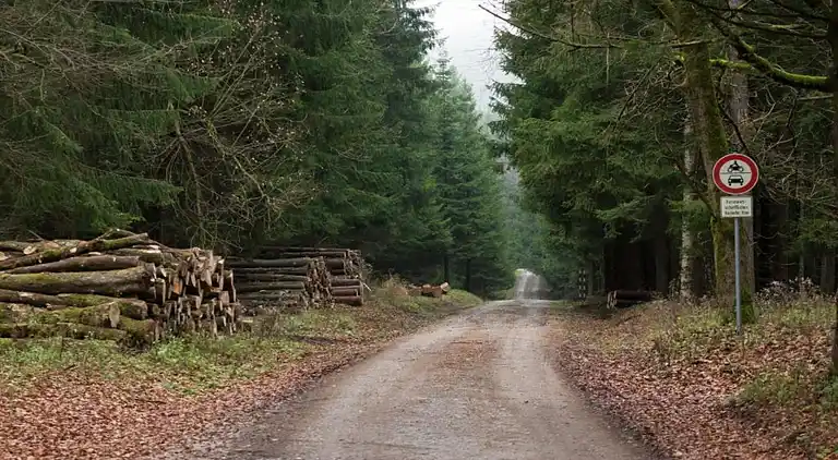 Ferielejlighed i Weddersleben