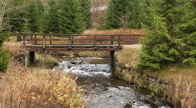 Sommerhus i Weddersleben