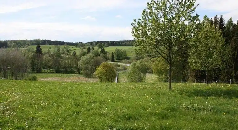 Ferielejlighed i Weddersleben