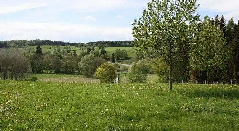 Sommerhus i Weddersleben
