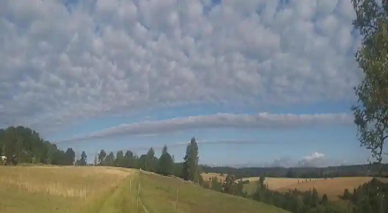 Ferielejlighed i Weddersleben