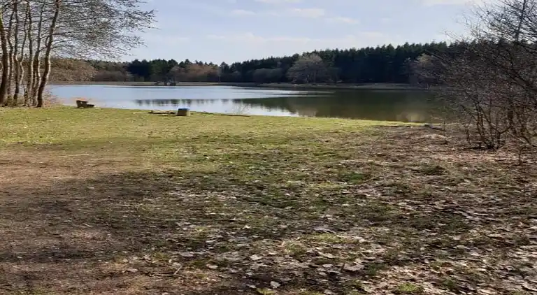 Ferielejlighed i Weddersleben