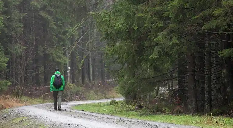 Sommerhus i Weddersleben