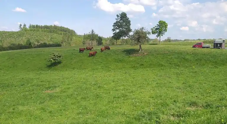 Sommerhus i Weddersleben