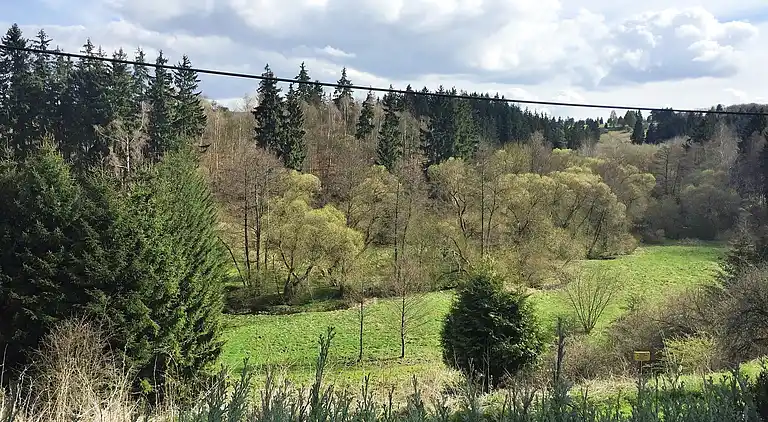 Sommerhus i Weddersleben