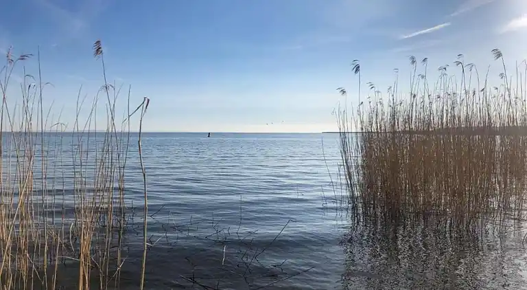 Sommerhus i Gegensee