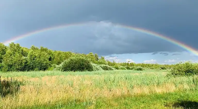 Sommerhus i Gegensee