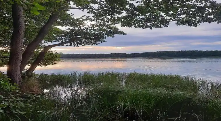 Sommerhus i Gegensee