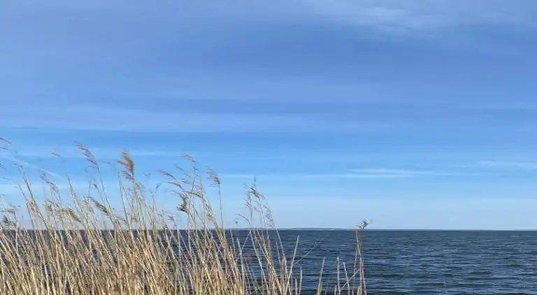 Sommerhus i Gegensee