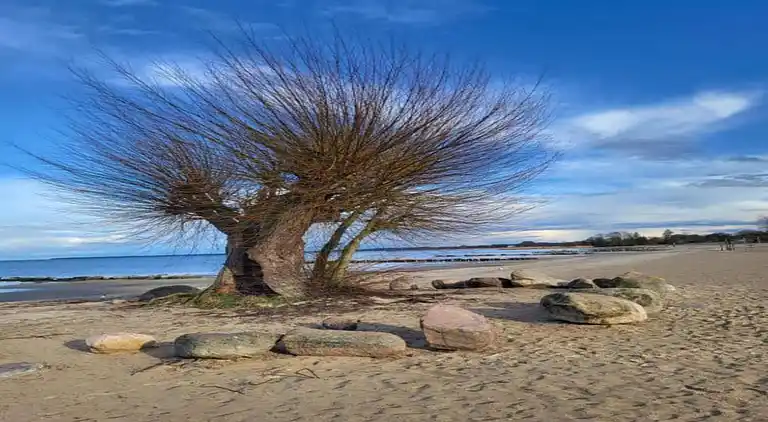 Sommerhus i Gegensee