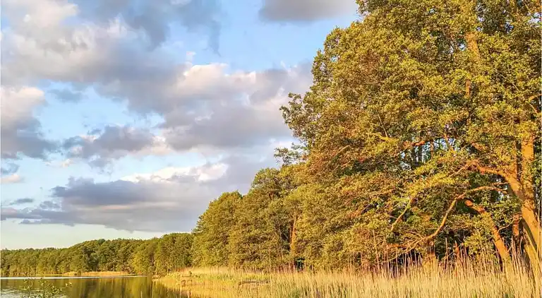 Sommerhus i Gegensee