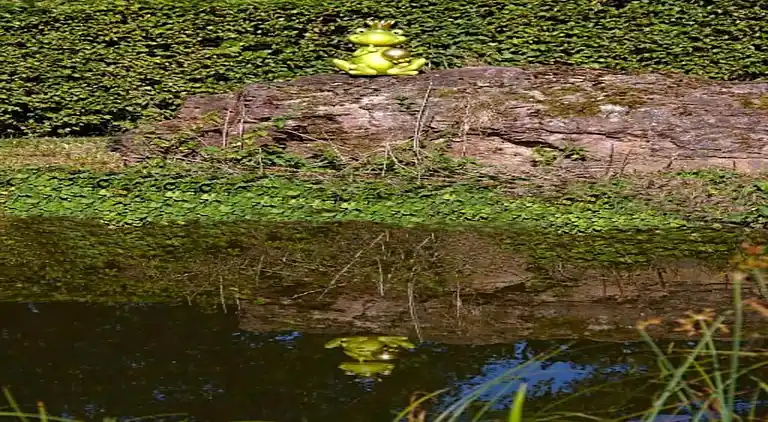 Lägenhet i Friedrichsfeld