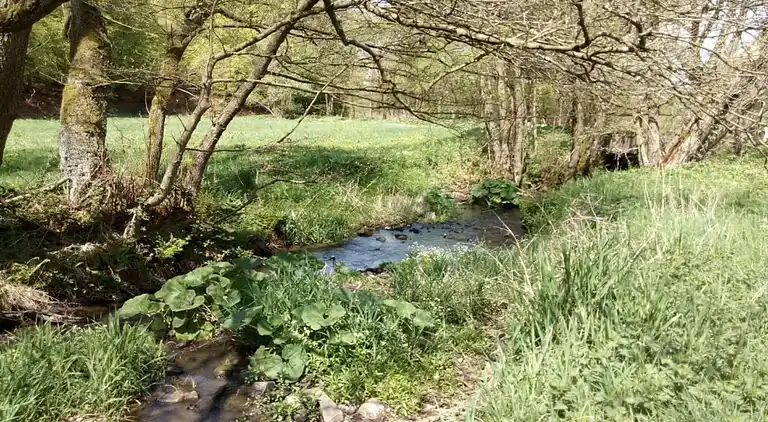 Ferielejlighed i Friedrichsfeld