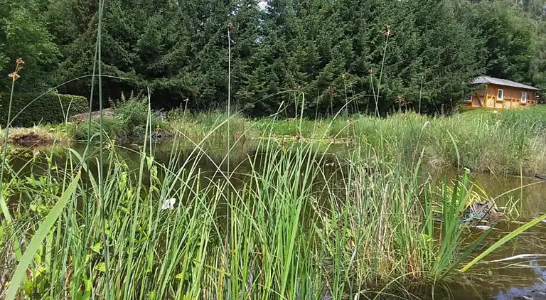 Lägenhet i Friedrichsfeld