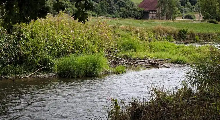 Lägenhet i Friedrichsfeld