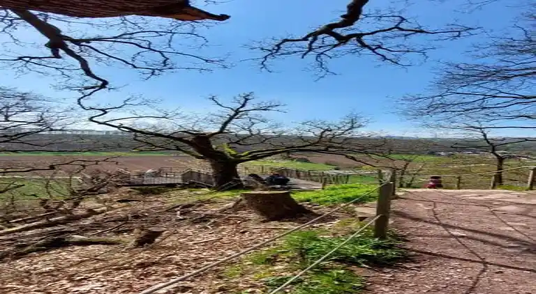 Lägenhet i Friedrichsfeld