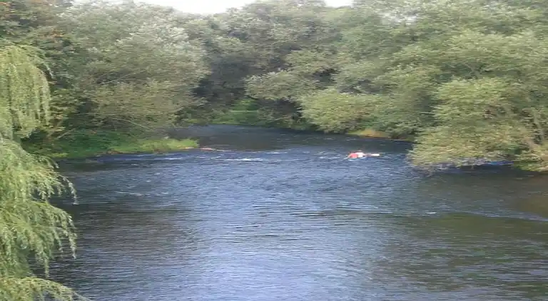 Ferielejlighed i Friedrichsfeld