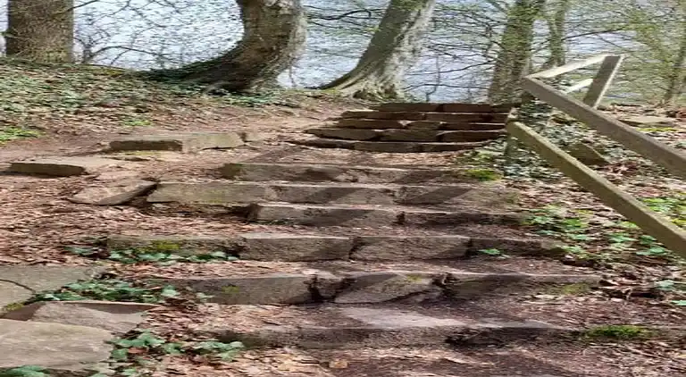 Lägenhet i Friedrichsfeld