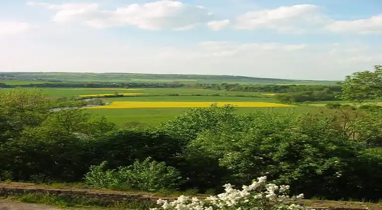 Lägenhet i Friedrichsfeld