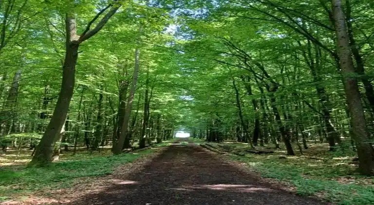 Holiday home in Waßmuthshausen